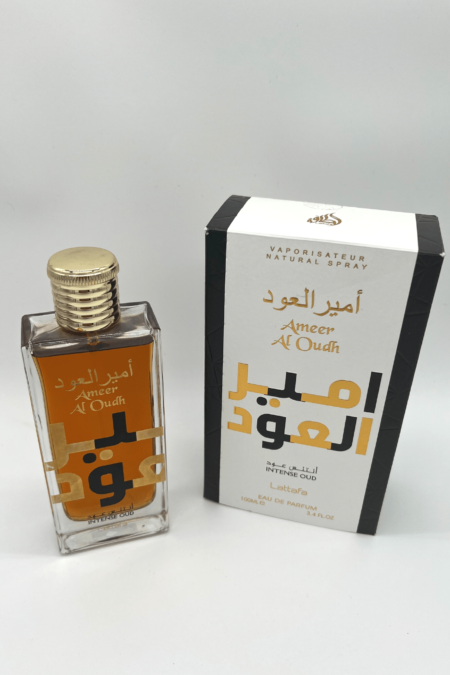 ameer al Oudh